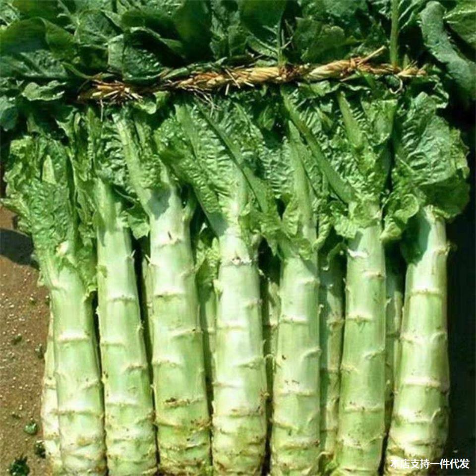 莴笋用品