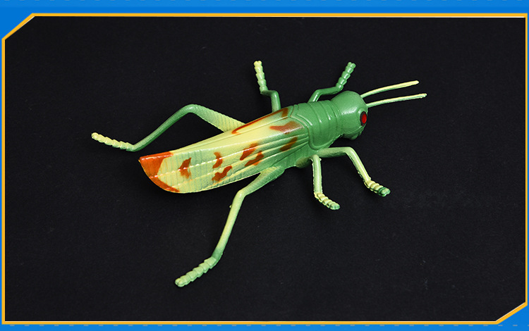 跨境新款仿真昆虫玩具模型夜光壁虎蚱蜢金龟子仿真模型地摊小玩具