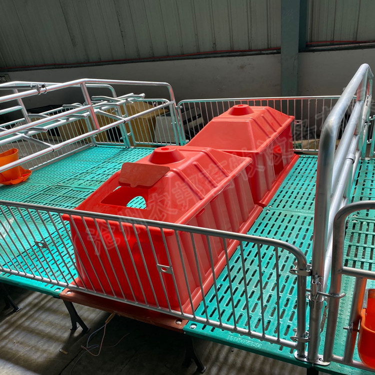 仔猪保育床 养猪设备 仔猪保育栏 产床仔猪保育栏 猪养殖设备器械