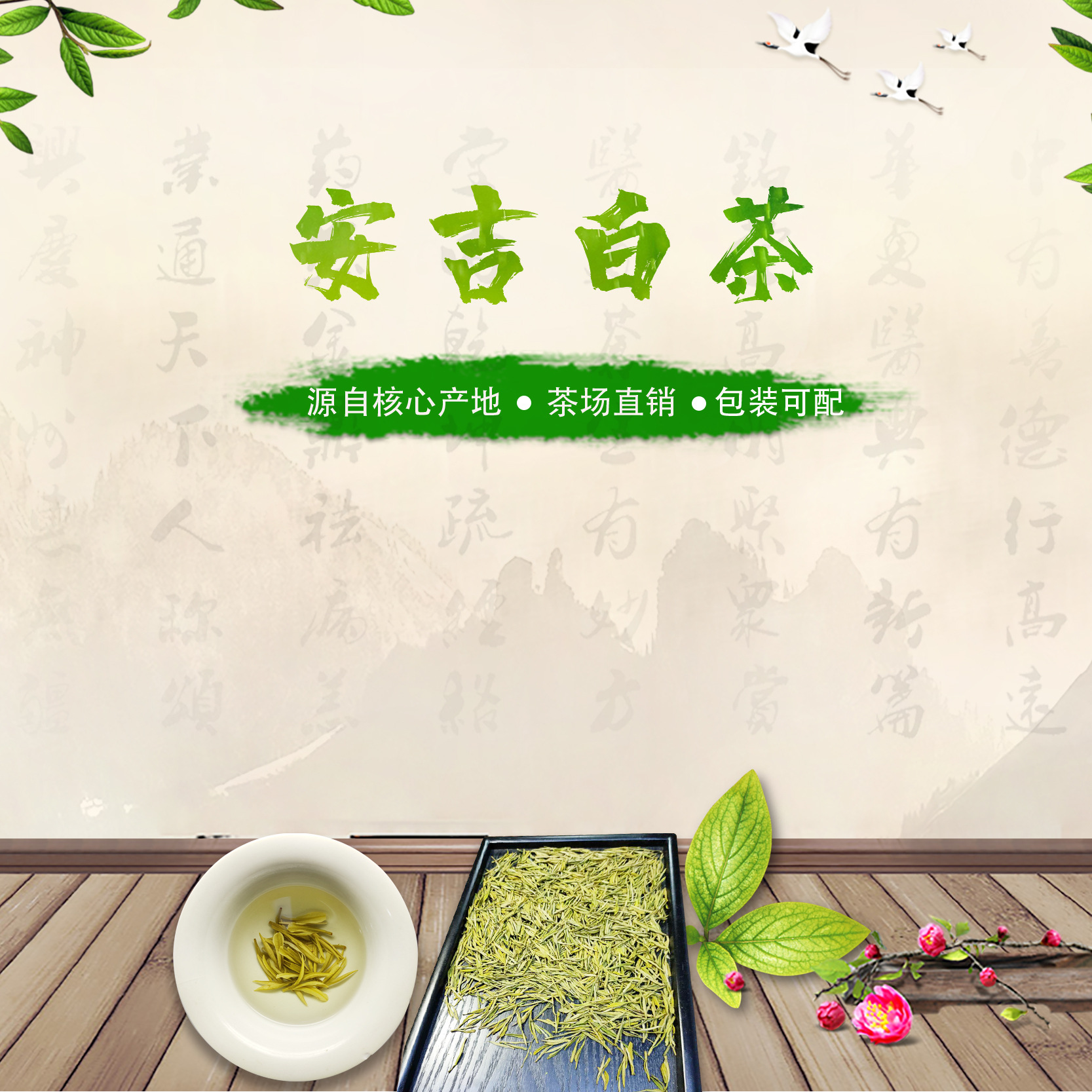 供应安吉白茶散茶