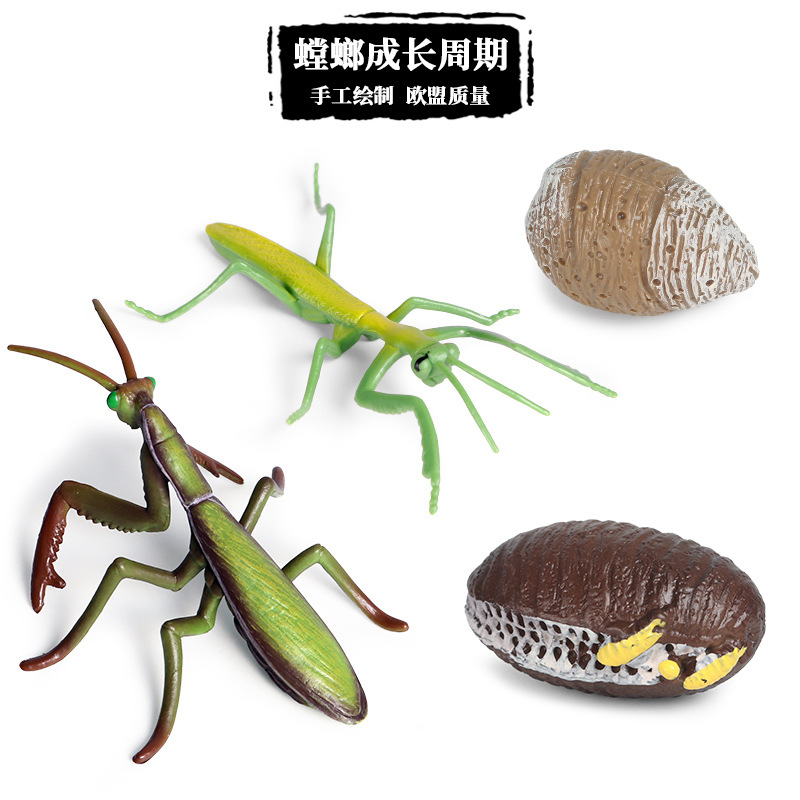 跨境儿童认知仿真动物模型静态实心白狮子非洲小狮子摆件手办玩具