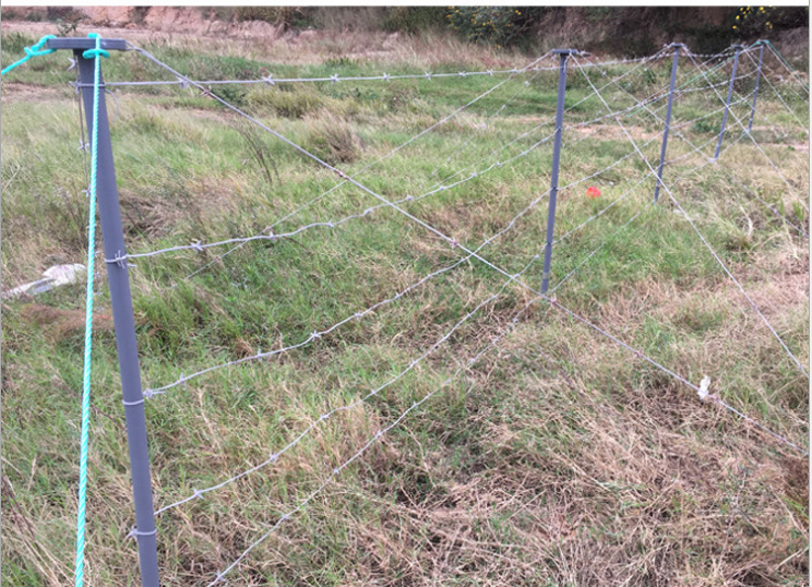 厂家模拟列装铁丝网 一列桩模拟铁丝网 蛇腹形铁丝网一列装铁丝网