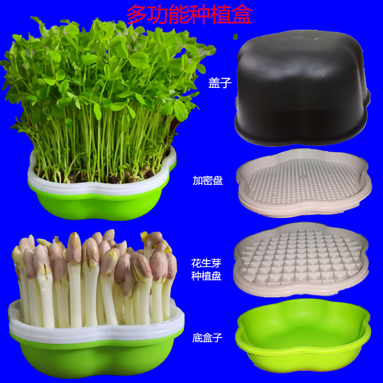 花生芽水培箱家用花生芽种植盒多功能芽苗菜豆芽种植盘无土种菜盆