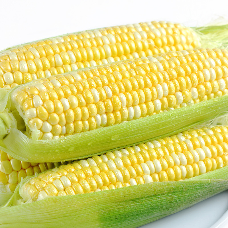 带箱10斤新鲜玉米水果玉 甜玉米鲜玉米爆浆玉米粒甜脆可生吃玉米