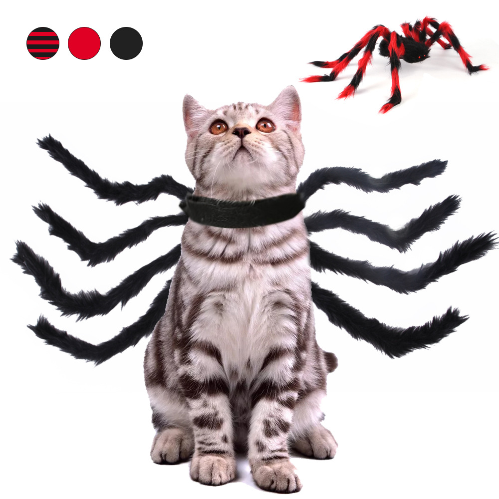 Amazon Pet Halloween Christmas Chest Back Creative Cat Dog Small Dog Spider Transformation Costume