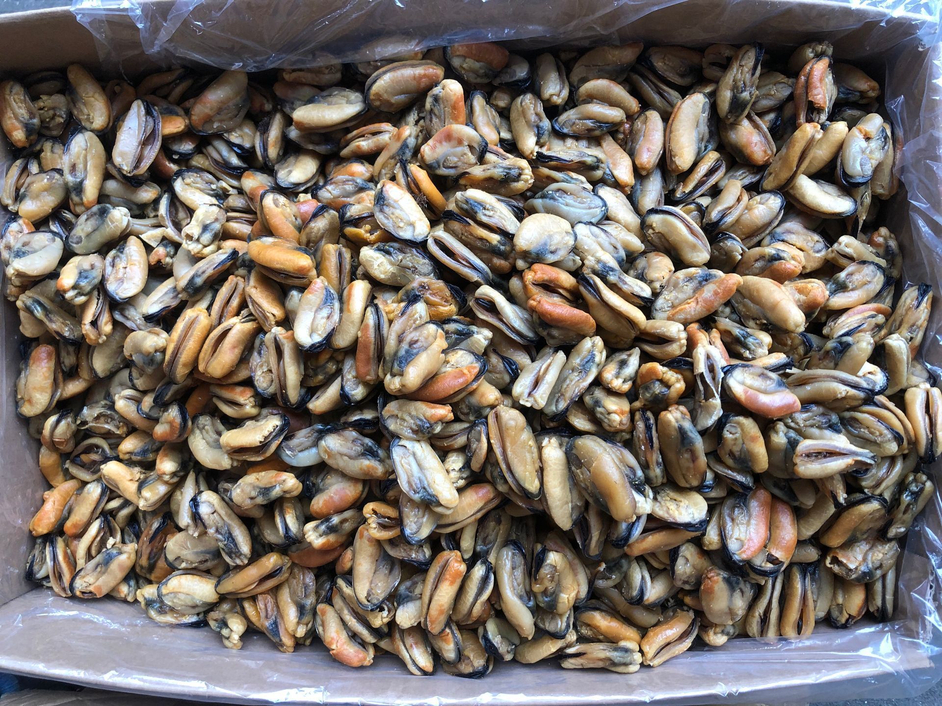 特大淡菜干(海虹)青口肉