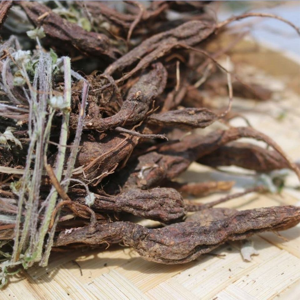 翻白草500克g 【整棵带根】天青地白 新晒干品 包邮批发