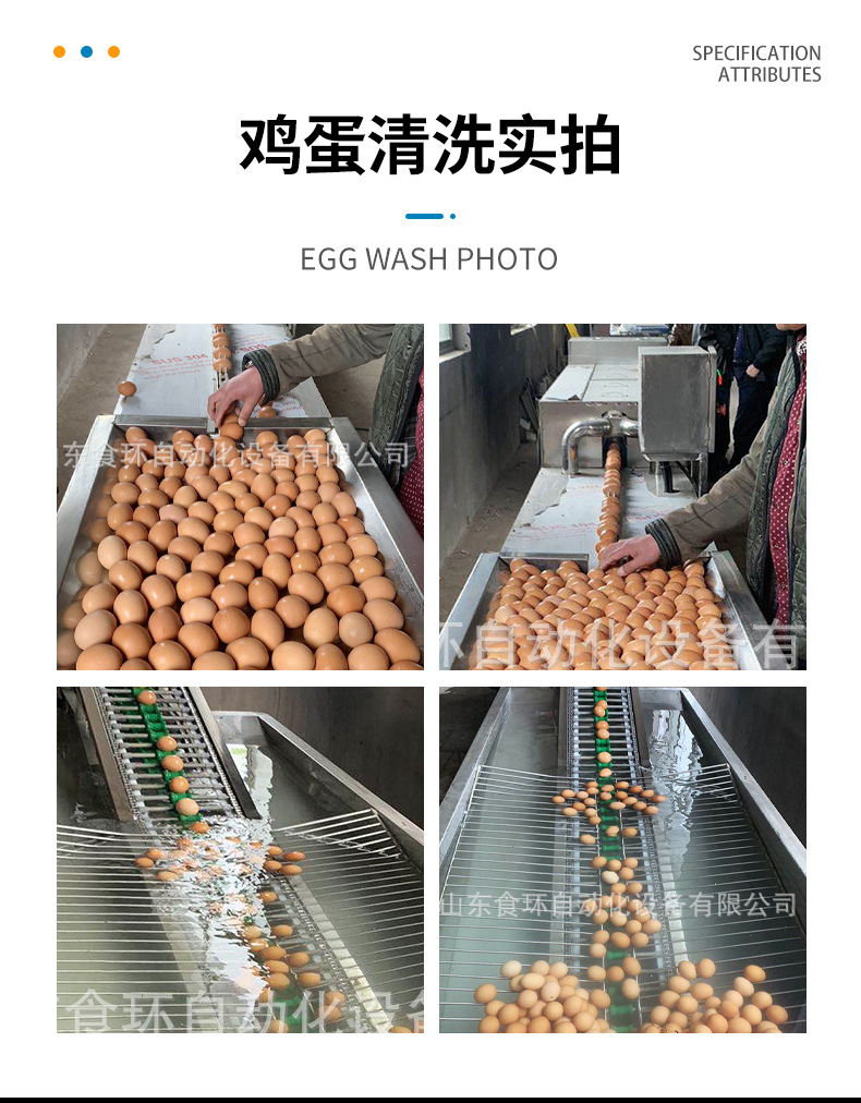 养殖场专用洗蛋机 鸡蛋清洗机 鸡蛋清洗烘干杀菌流水线 洗蛋设备