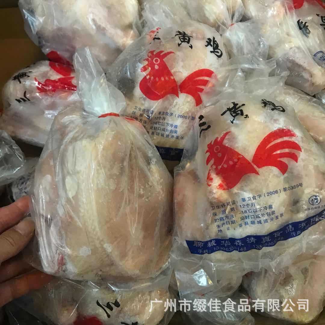 三黄鸡 冷冻 西装鸡 新鲜土鸡 炸春鸡 烤鸡 白条鸡 光鸡 广州批发