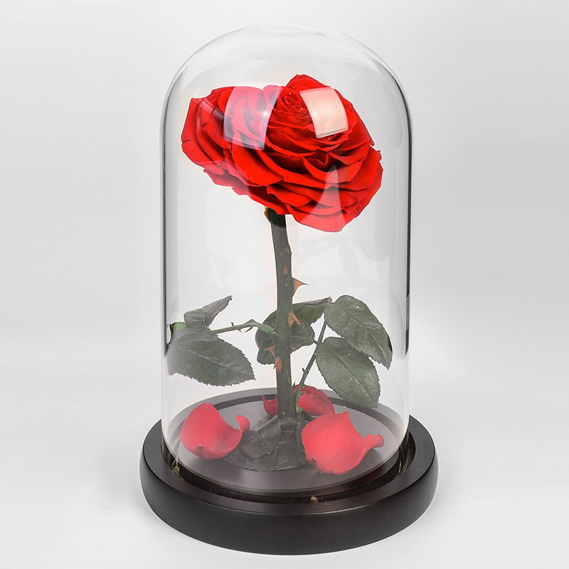 妇女节生日礼物爱心小王子永生玫瑰花亚马逊永生花玻璃罩成品批发