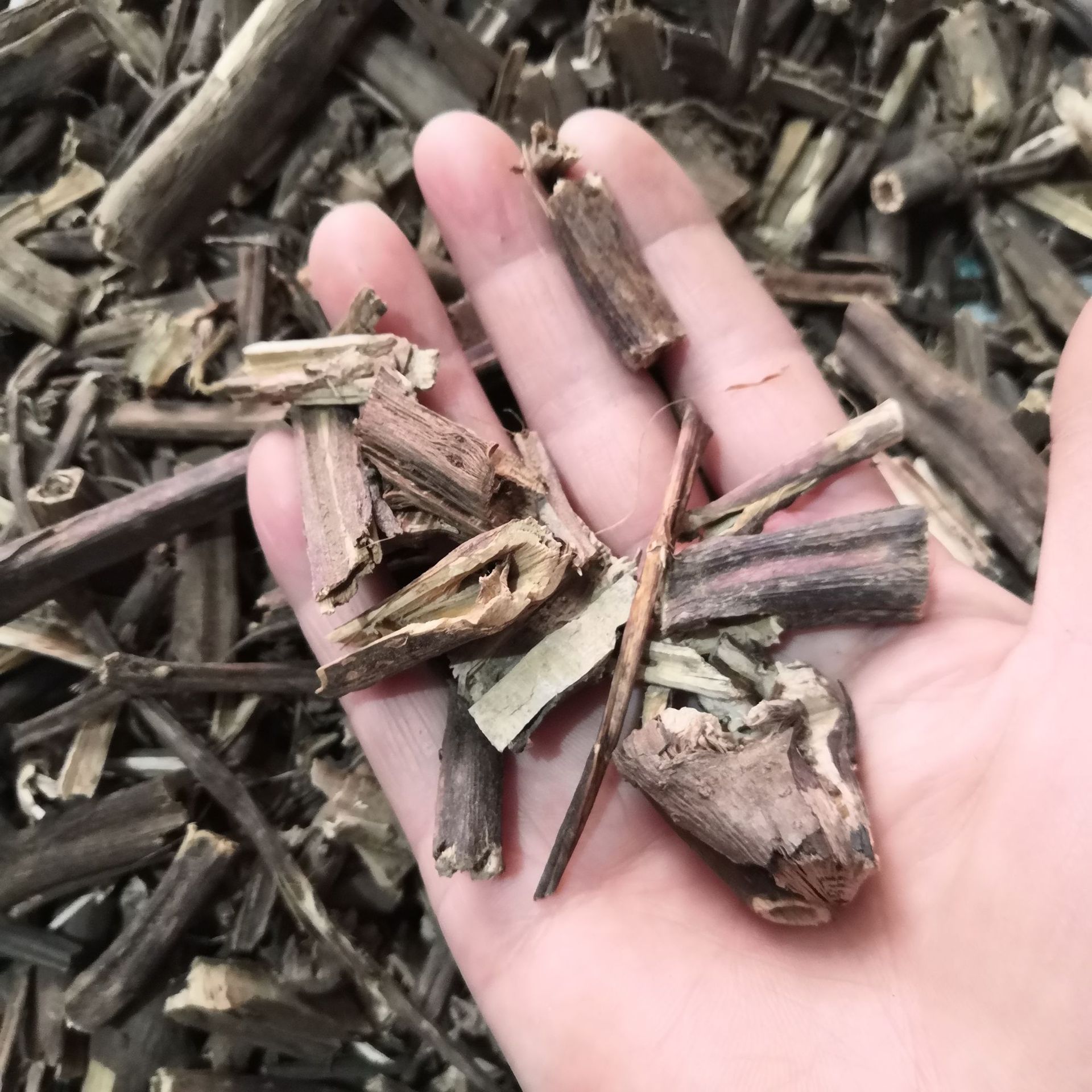 中药材香排草排草排香草多种香料另有排草根