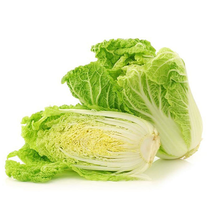 黄金娃娃菜f1种子 小型白菜心叶鲜黄 叶球紧实 春秋四季 蔬菜