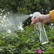 透明家用手压式小型浇花水壶细雾喷壶多肉植物洒水壶喷雾瓶300ml