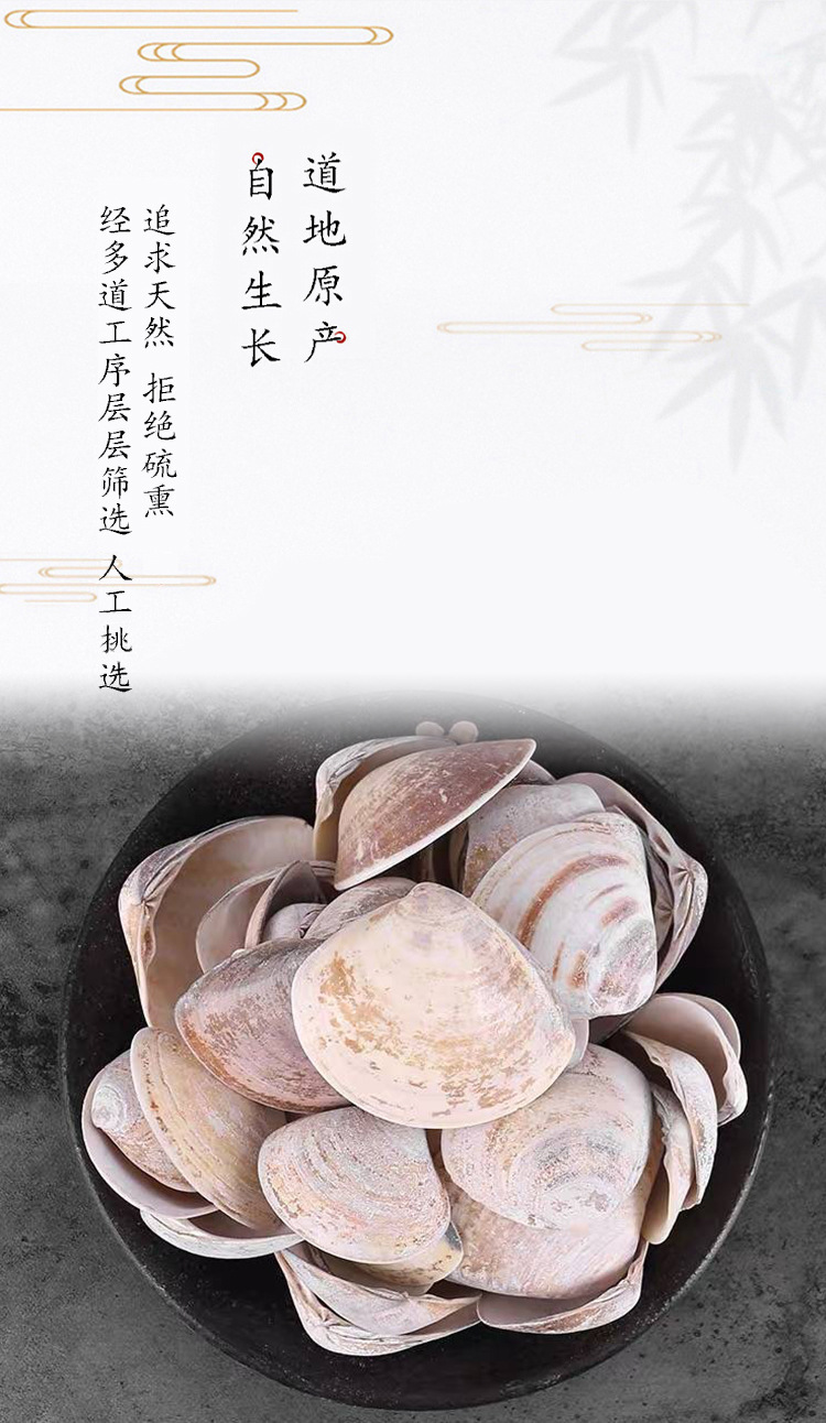 中药材批发零售蛤壳 海蛤壳 产地货源文蛤 规格齐全