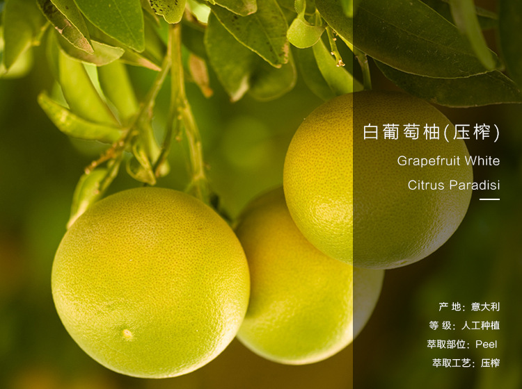 有息白葡萄柚精油单方精油意大利进口grapefruit white葡萄柚精油