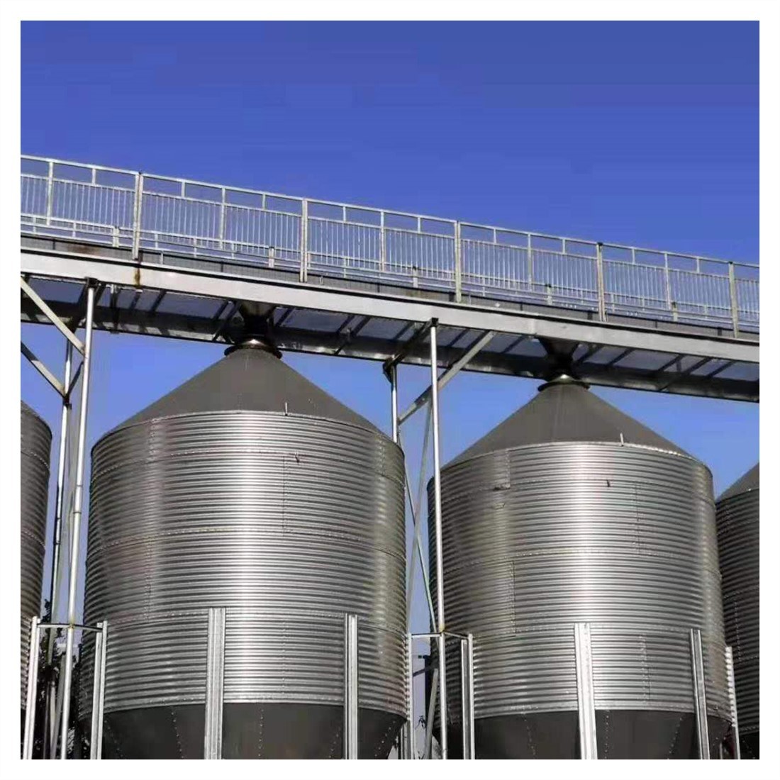 现货供应200吨粮仓造价各种储粮单位使用粮食储存仓千吨风干仓