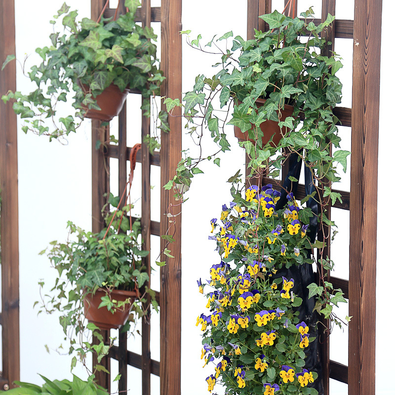 户外阳台碳化防腐木爬藤种植架网格花架庭院隔断栅栏挂花盆架