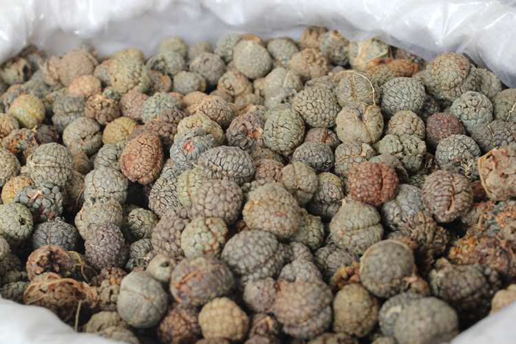 草蔻 大草寇 小草扣调味香料 火锅底料 广西海南 源产地批发零售