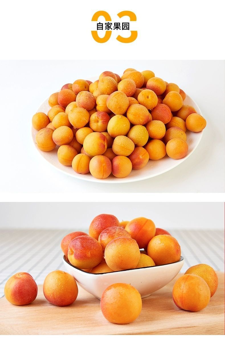 4斤顺丰包邮新疆小红杏新鲜水果吊干杏子阿克苏当应季小白杏整箱