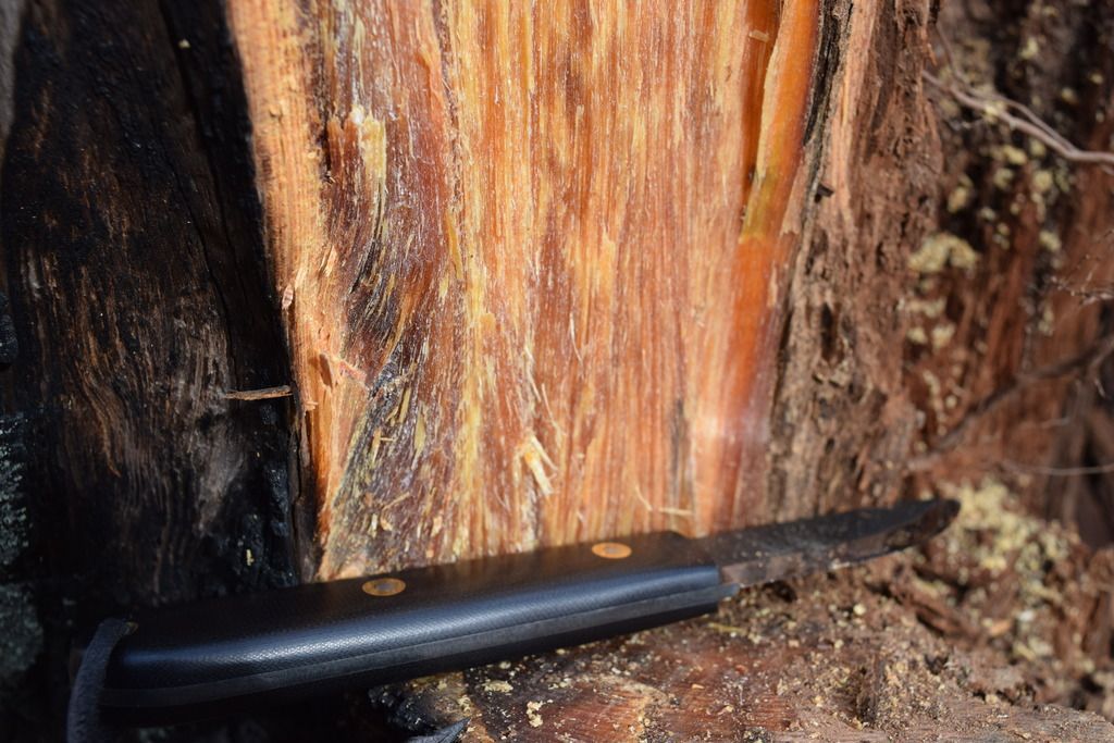 松明引火条 铁盒装松明 户外求生取火助燃物松木油脂 引火松木块