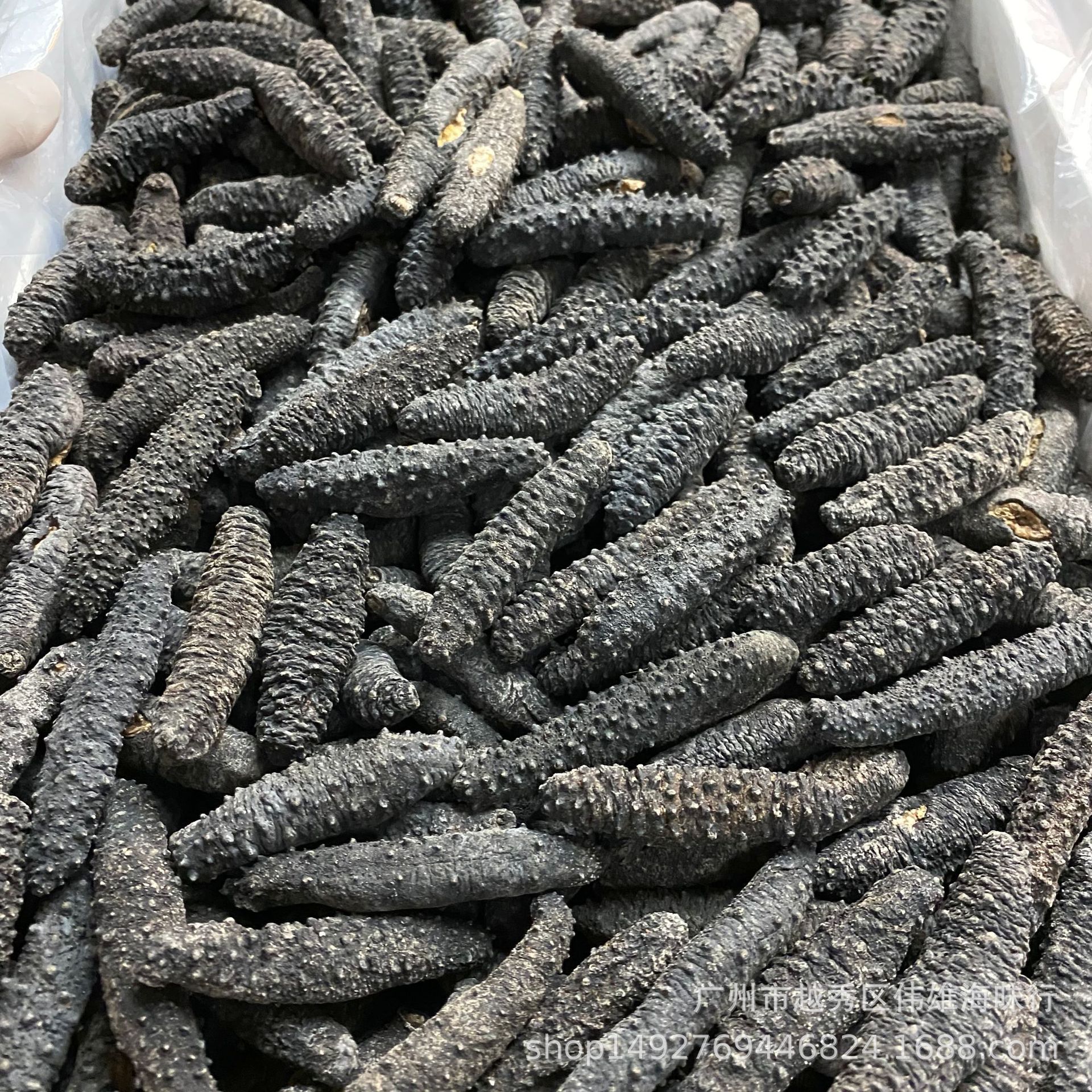 带刺土耳其海参深海希腊米刺参黑刺参 足干淡干海参干货30-300头