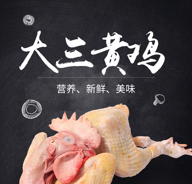四川三黄土鸡 新鲜冷冻三黄鸡 散养农家土鸡 广元三黄土鸡