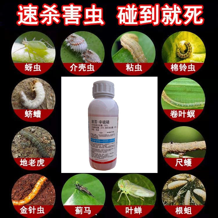 辛硫磷杀虫剂农药地下害虫地蛆地老虎金针虫蛴螬500g包邮