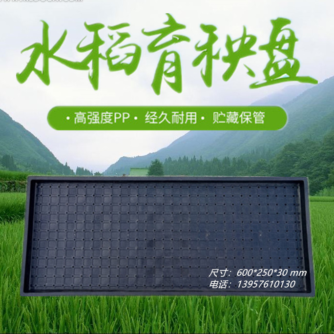 水稻育秧盘水稻育苗盘厂家批发7寸可重复利用水稻秧盘