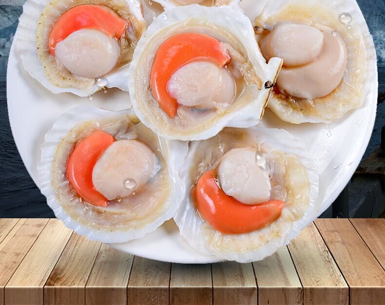 连云港海鲜冷冻大元贝 冷冻半壳扇贝 冻元贝肉 夏威夷大扇贝 批发