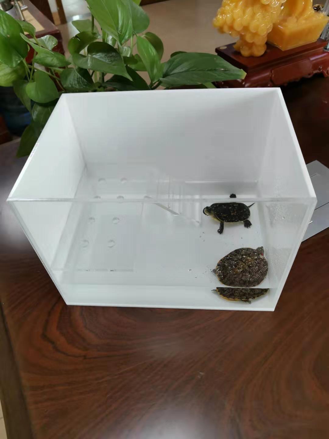 亚克力龟缸乌龟缸带晒台桌面小鱼缸迷你生态金鱼缸家用办公桌鱼缸
