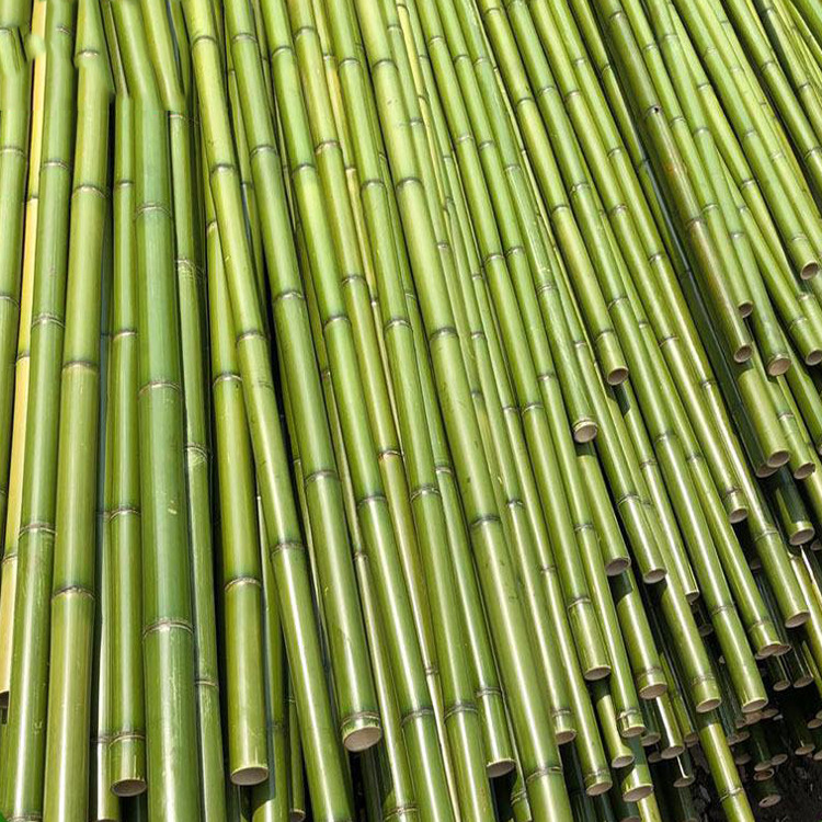 批发粗竹竿大毛竹竿 菜园搭架细竹杆庭院装饰篱笆竹围栏直销