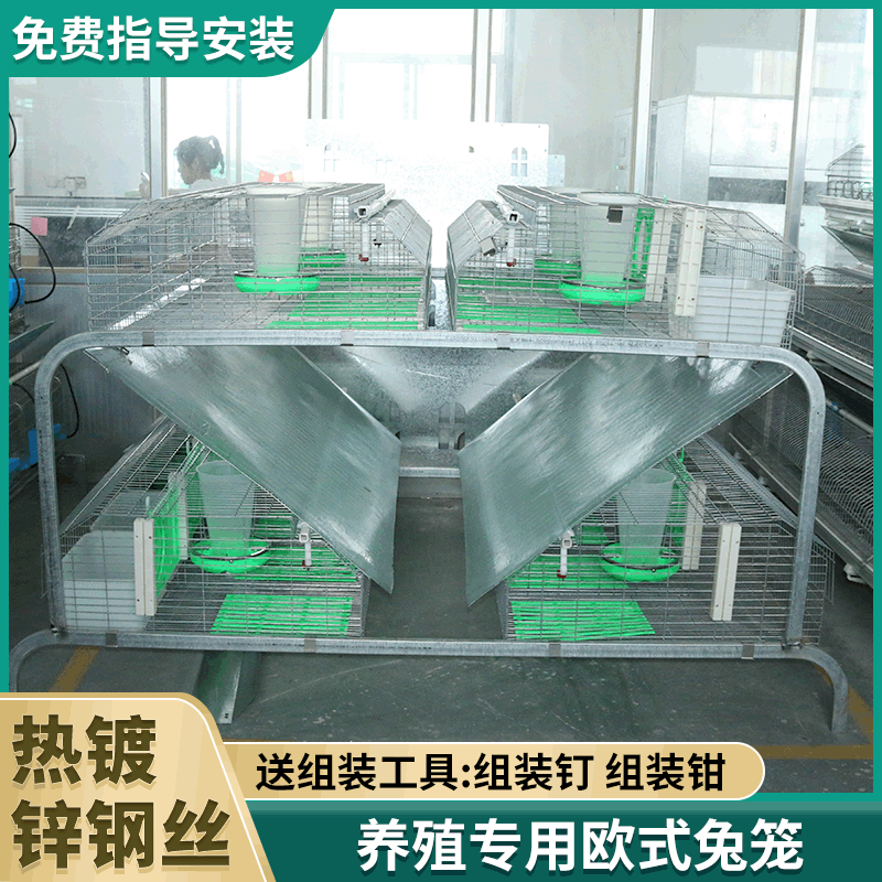 跨境欧式兔子养殖笼自动清粪投料饲养公兔笼 兔舍子母兔笼批发