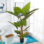 树叶树枝树藤假樱花藤蔓植物花室内叶子装饰藤条大型树绿植墙