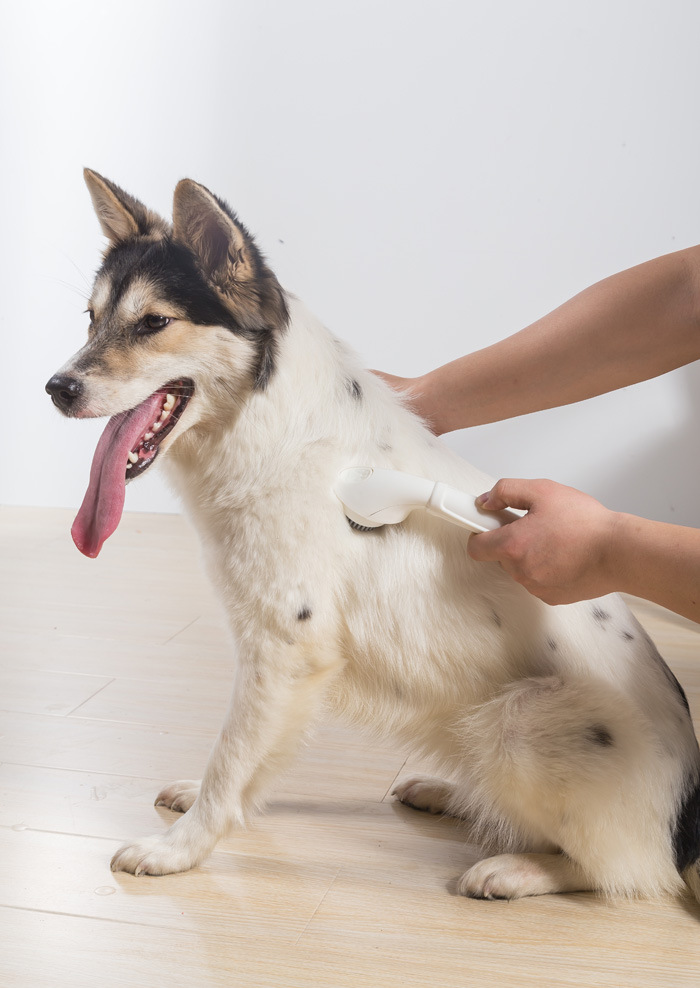 宠物洗澡按摩刷 狗狗洗澡按摩梳 清洁美容工具 除毛刷洗澡刷