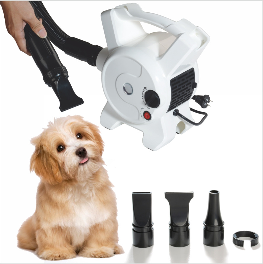 厂家批发宠物吹水机 狗狗快速烘干吹水机 大型犬毛发快速吹干机器