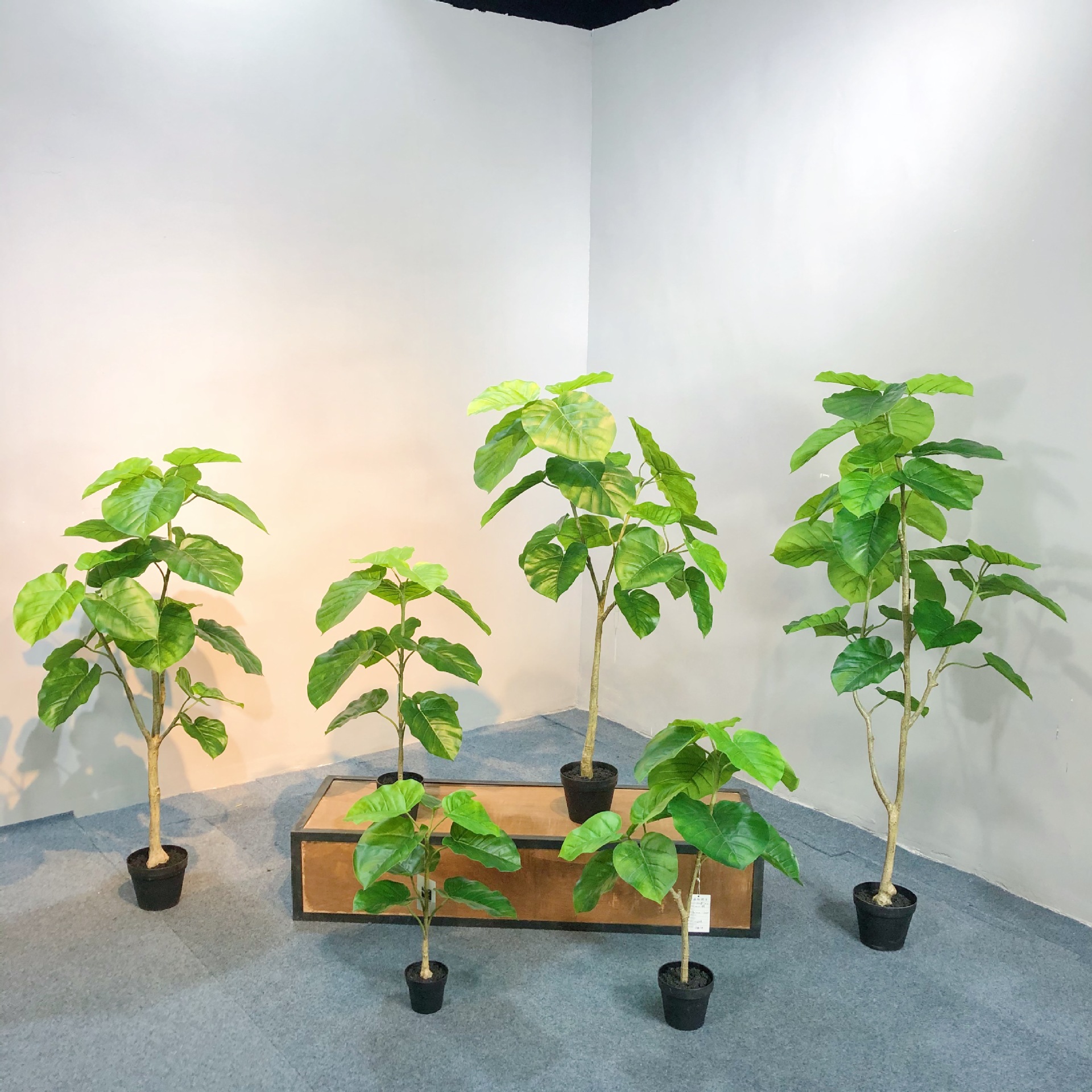 仿真小树仿真心叶榕爱心榕伞榕日本网红室内绿植花卉盆栽生产厂家