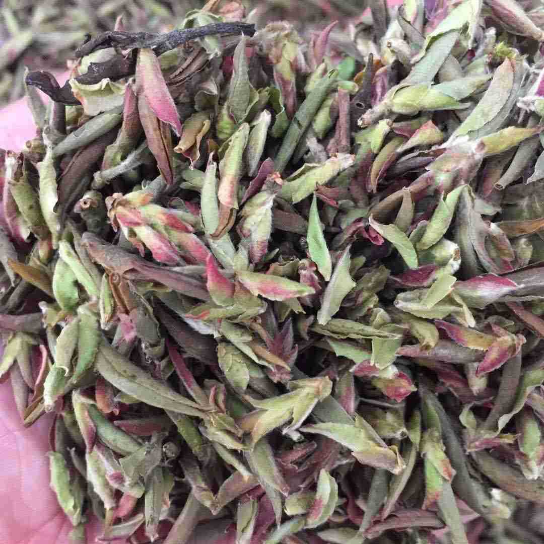 2020云南大雪山紫芽 紫芽苞批发