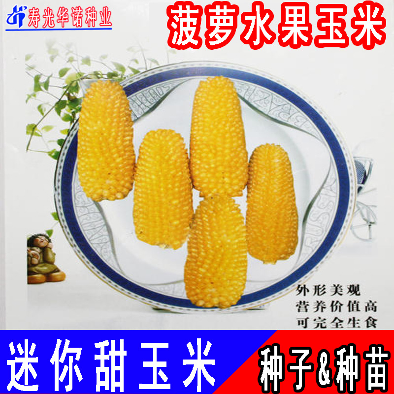 台湾农友进口黄宝菠萝玉米种子 观赏迷你生吃水果生吃甜玉米种子