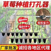 草莓苗种植工具移苗栽苗机打窝压窝打孔神器农业通用打穴器包邮