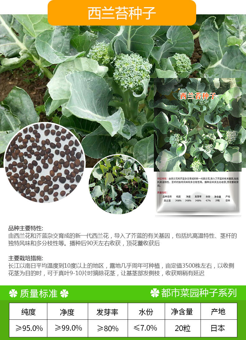 凤鸣雅世 精选都市菜园小包装十字花科组合 统一价