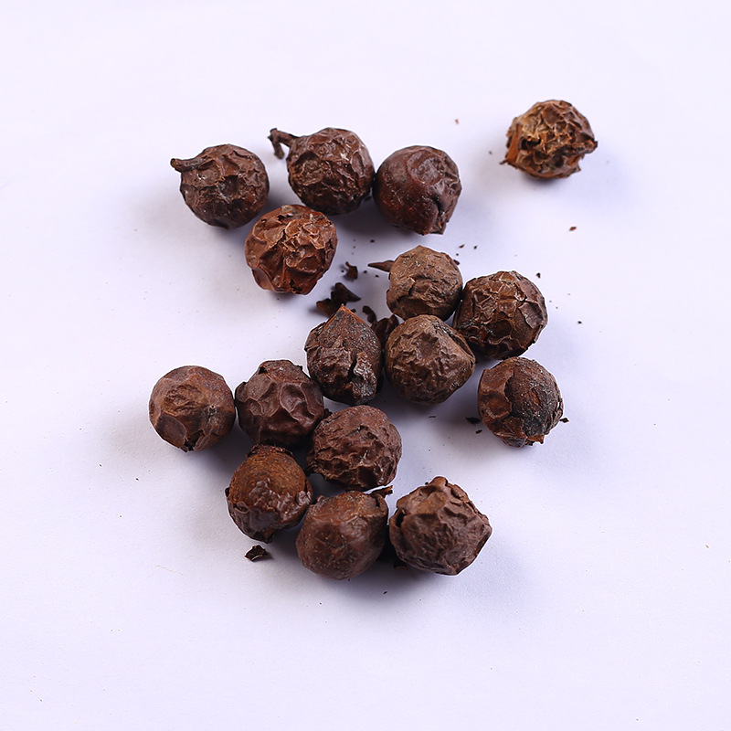 四季长青绿化林木花木种子新采竹柏种子大叶竹柏小叶竹柏种子盆景