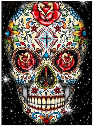 钻石画5d满钻彩色骷髅头diy装饰画 外贸热销 wish 亚马逊