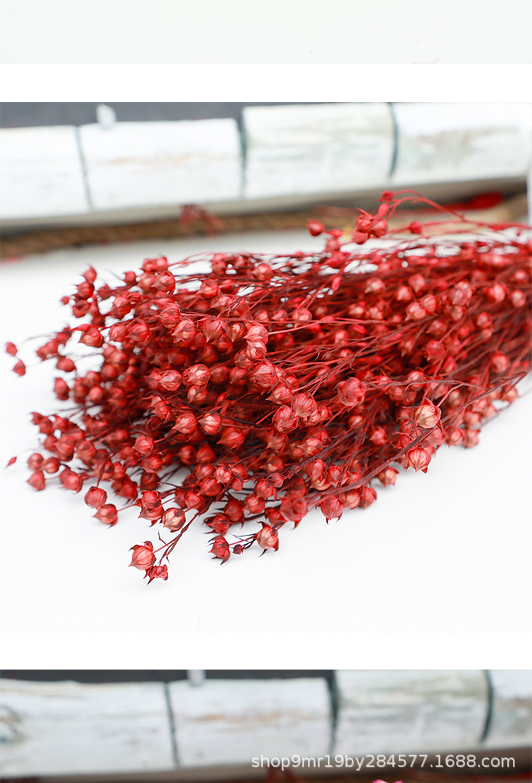 永生花相思豆干花花束花店批发diy插花花材客厅装饰摆设花艺花材