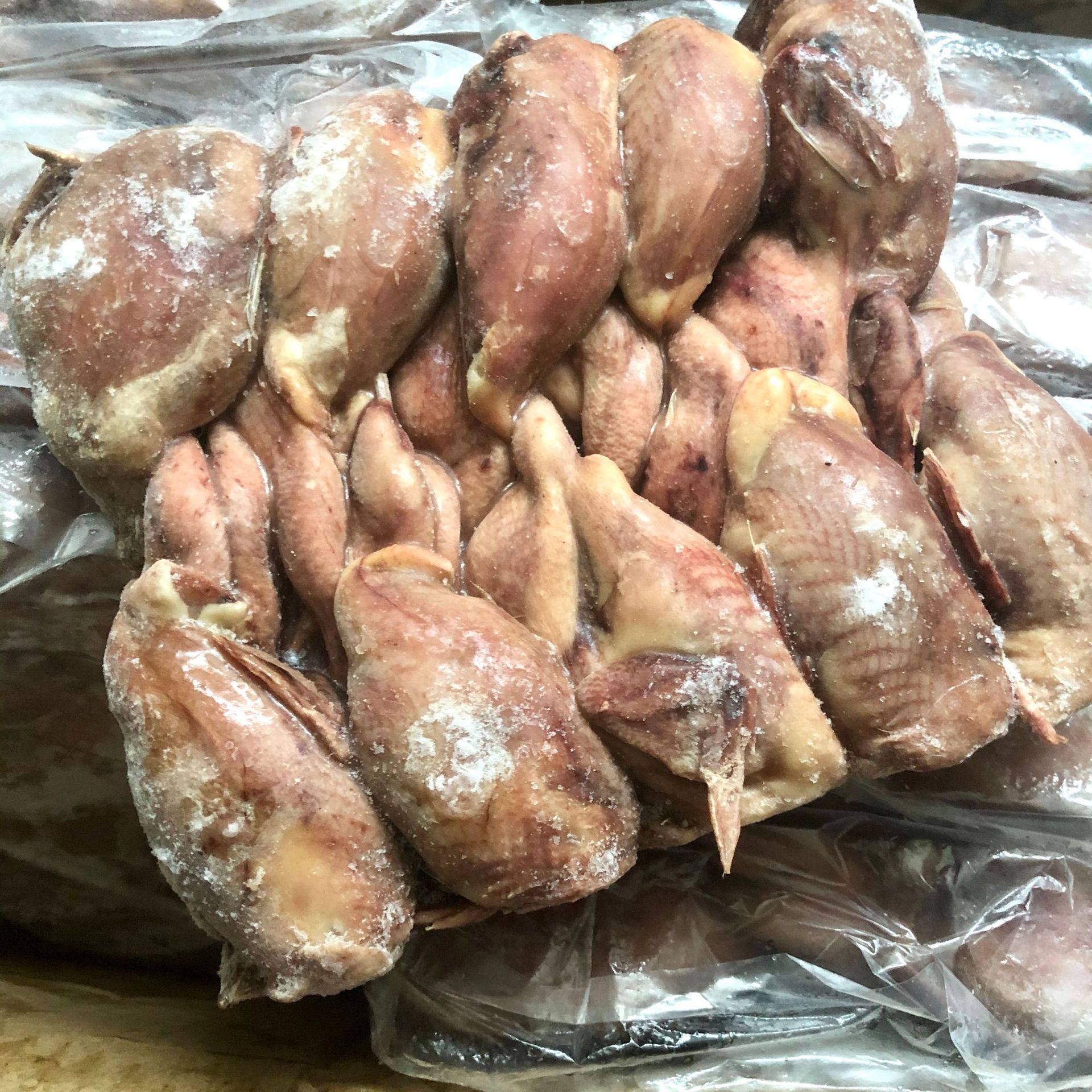 鹌鹑 白条鹌鹑 鹌鹑鸟 冷冻活杀鹌鹑肉鹌鹑仔 生肉制品1箱100只