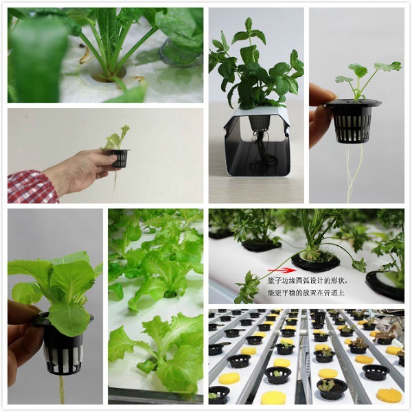 荣诚农业 水培植物多 型号固根器 管道无土栽培定植篮