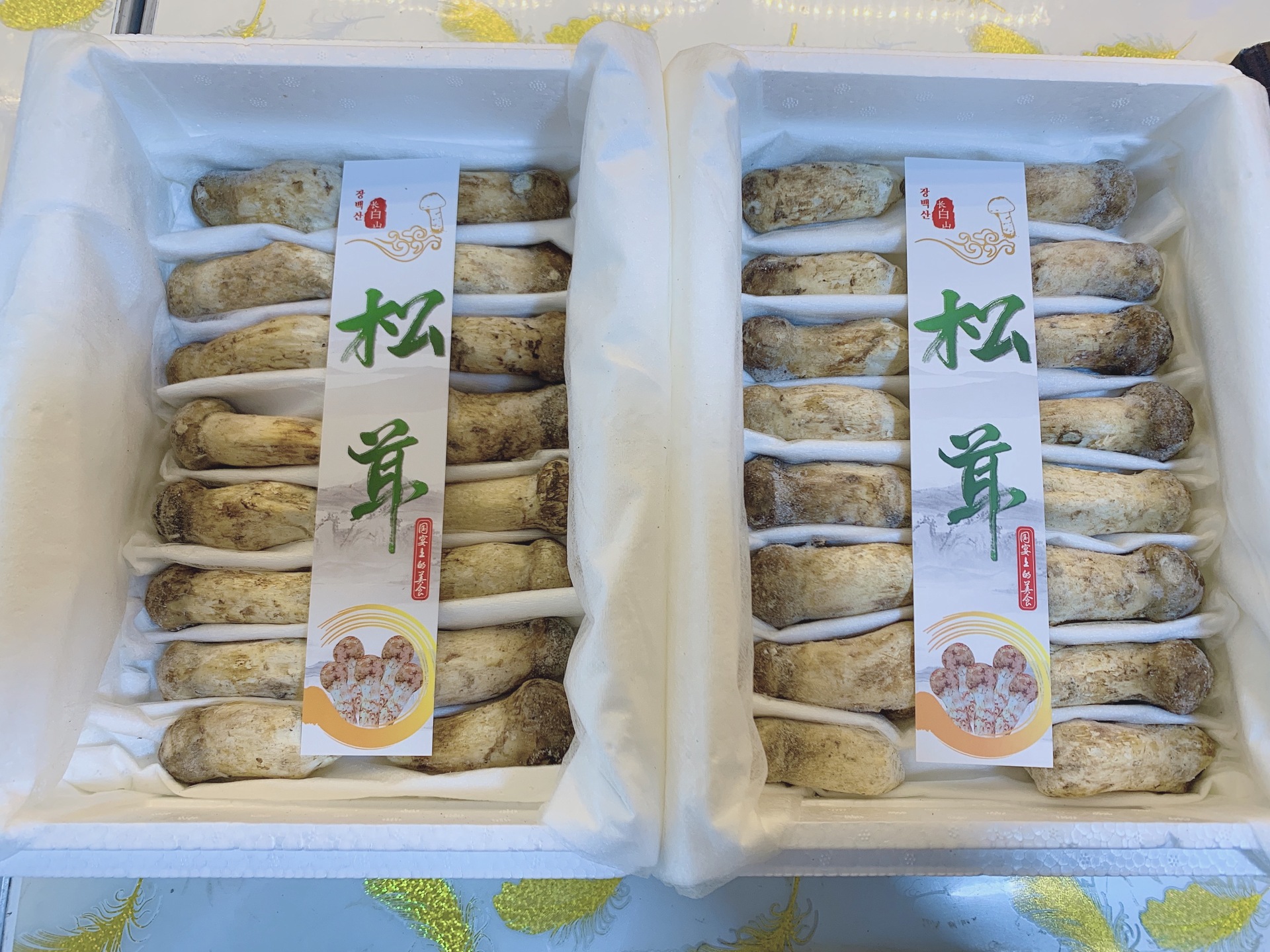 东北特产速冻松茸长白山鲜松茸 原皮食用菌1000g盒装团购礼品批发