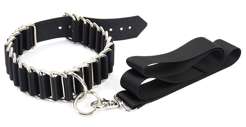 roomfun房趣情趣sm牵引项圈金属狗链子脖套调教束缚成人玩具道具