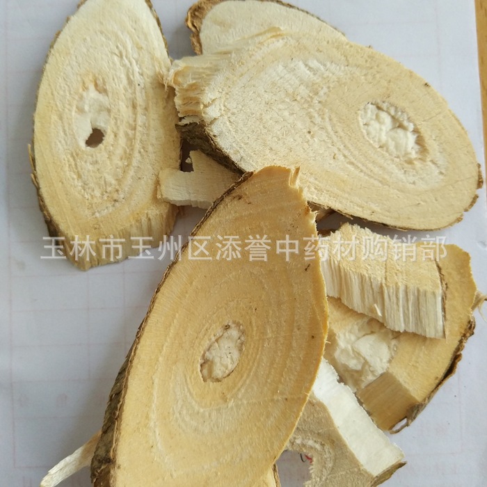 中药材鹰不泊别名鸟不宿刺倒树楤木鸟不站画眉架干货切片