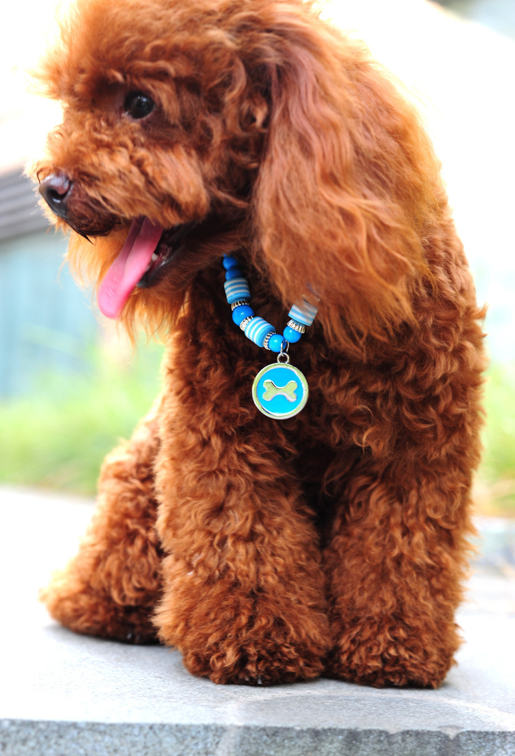 圆形 狗狗项链 贵宾饰品 小型犬项链骨头牌子宠物项链
