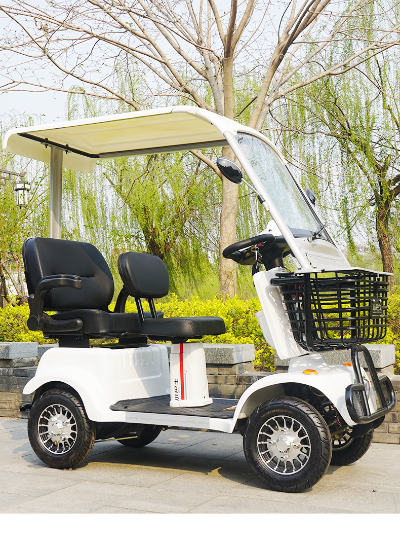 小巴士电动车成人代步车电瓶车老人带棚新能源四轮车双人